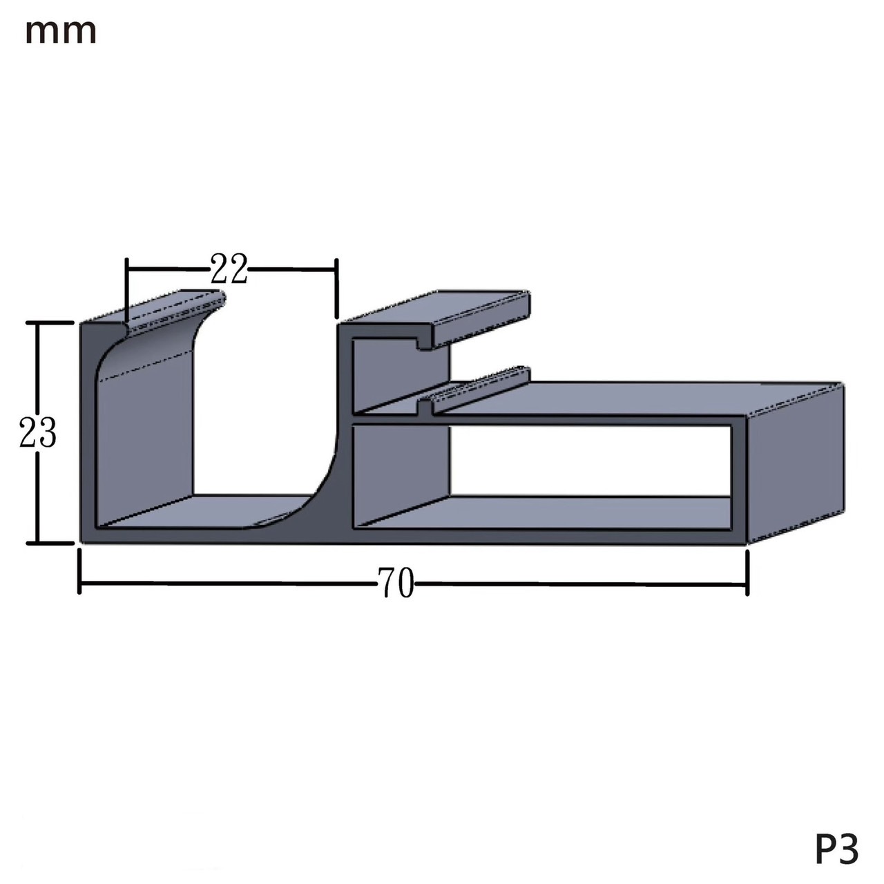 P3
